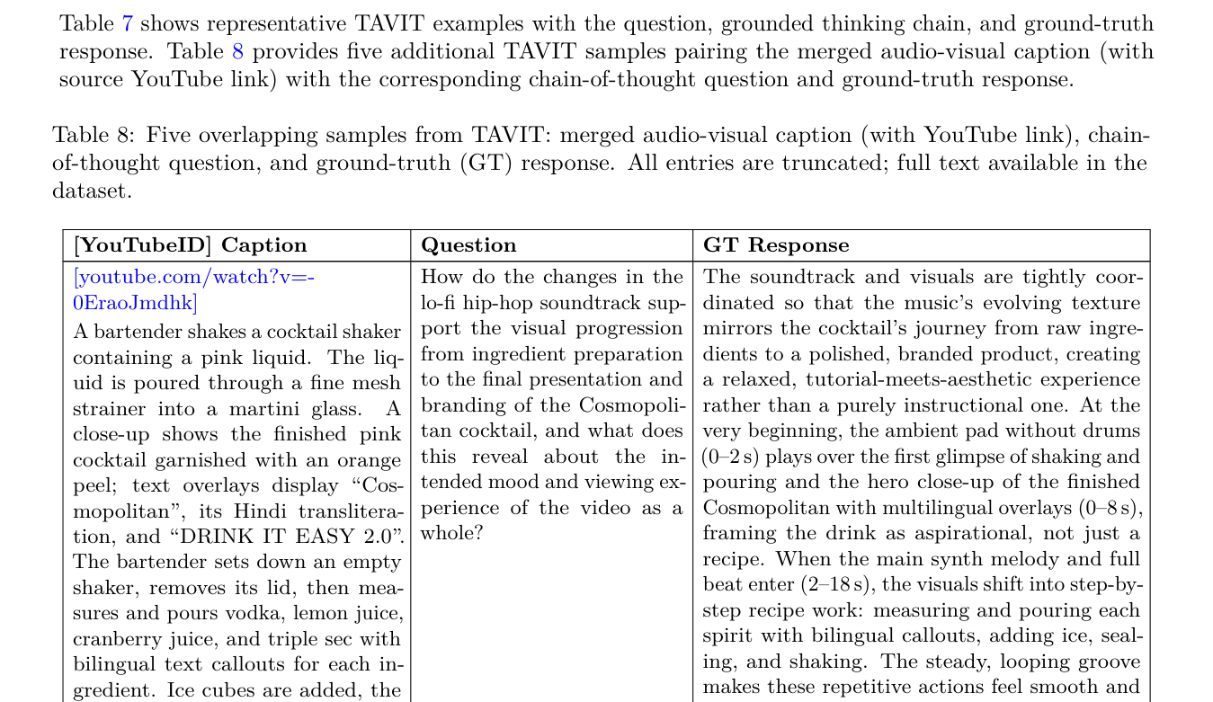 推理框架TAVIT