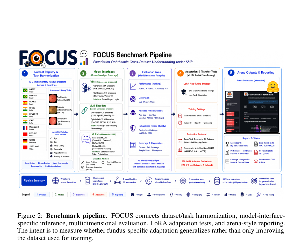 FOCUS 设计